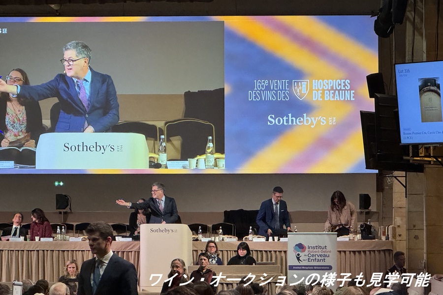 栄光の3日間、ボーヌの街の様子　グルヌイユ（カエル料理）