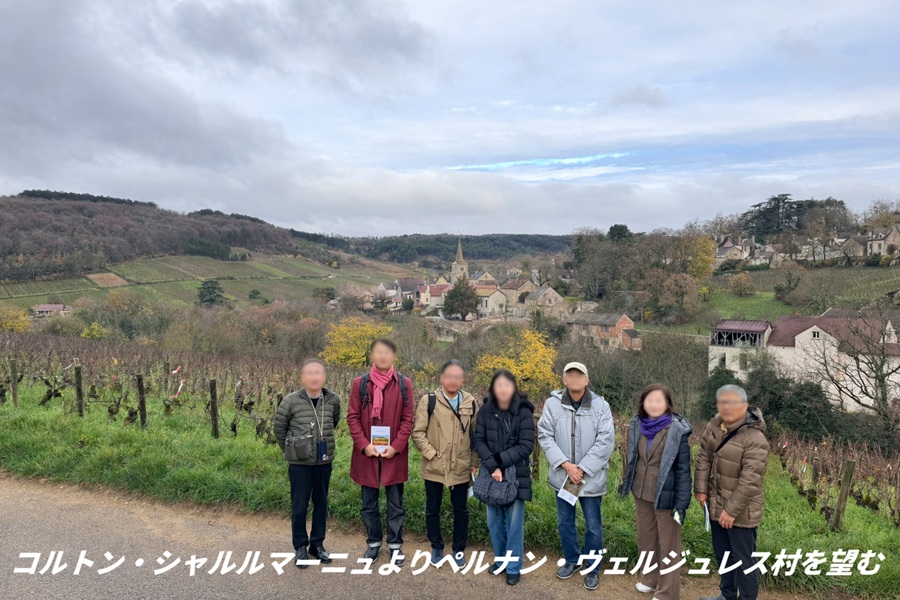 栄光の3日間、ボーヌの街の様子　ワインを楽しむ人々