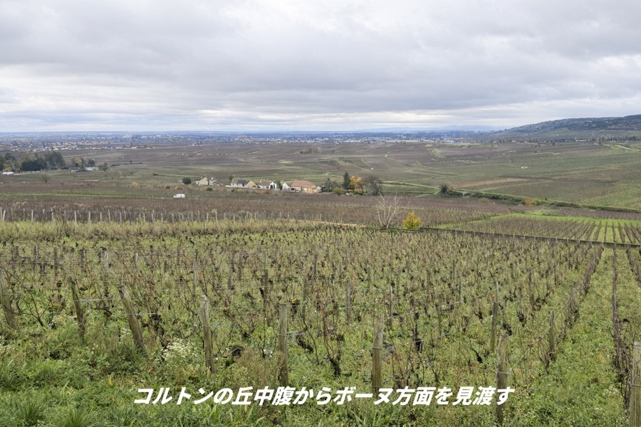 栄光の3日間、ボーヌの街の様子　本格的な屋台も