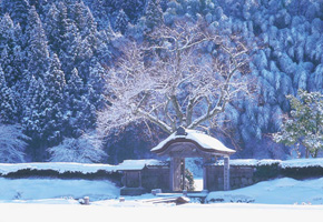 一乗谷朝倉氏遺跡（イメージ）