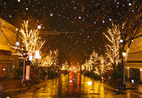 善光寺表参道イルミネーション（長野）