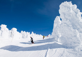 蔵王温泉スキー場「自然の芸術 蔵王樹氷」