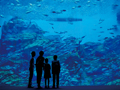 仙台うみの杜水族館